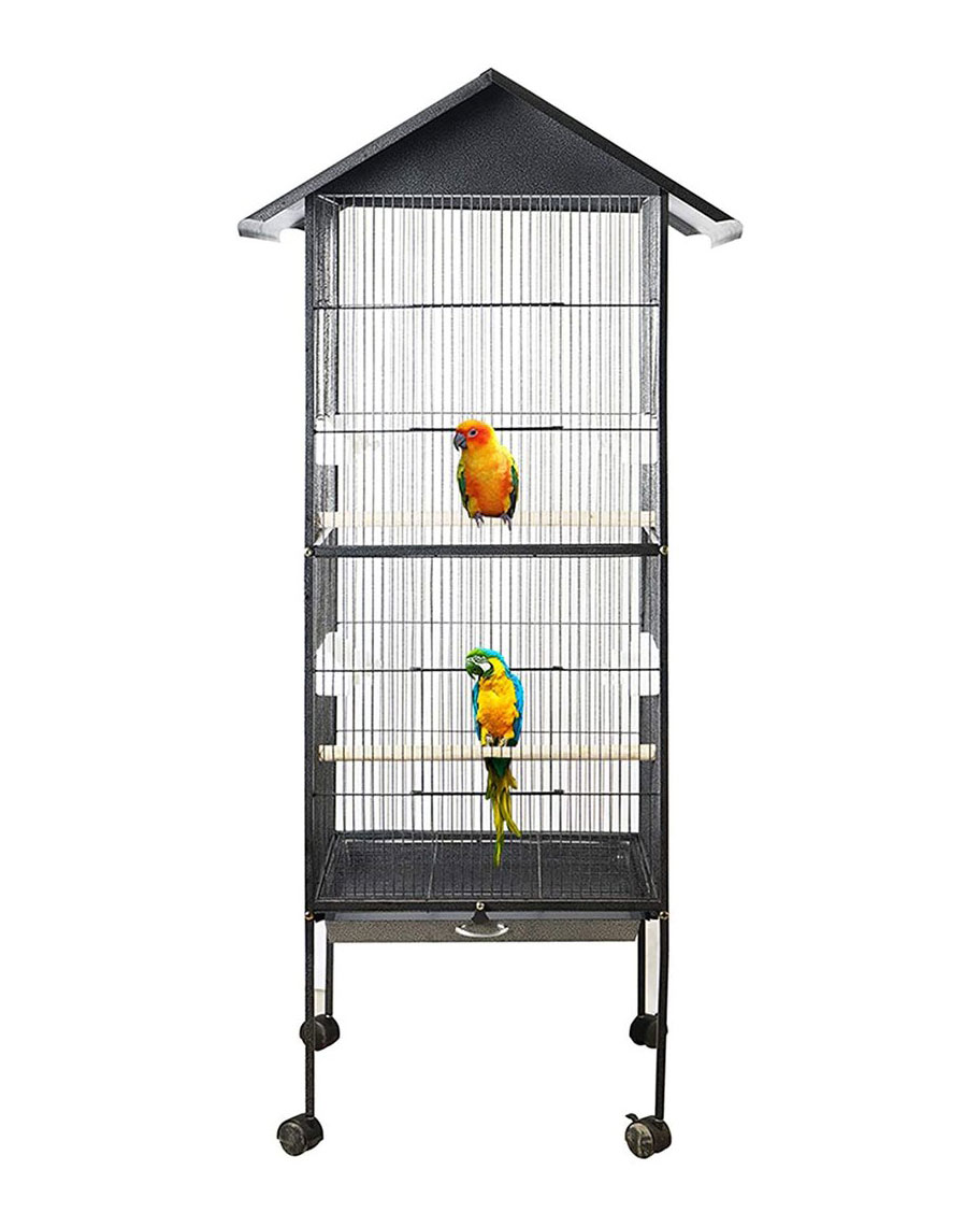 https://www.beloccasion.com/uploads/products/1611692314-cage-oiseau-maroc-cage-oiseau-maroc-jumia-perchoir-perroquet-maroc-produit-oiseaux-maroc-voliere-oiseaux-a-vendre-prix-oiseaux-maroc-cage-perroquet-cage-a-vendre-maroc-beloccasion.jpg