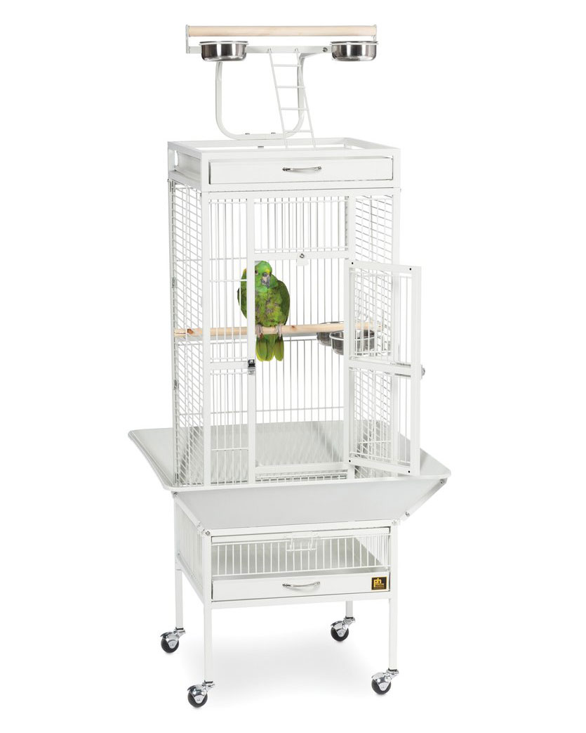 Cage galvanisée anti-répulsif pour perroquet et petit oiseaux de compagnie